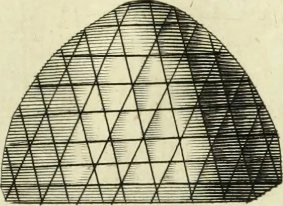 An illustration from Collections of travels through Turkey into Persia, and the East-Indies : Giving an account of the present state of those countries ..., 1684, leaf 460