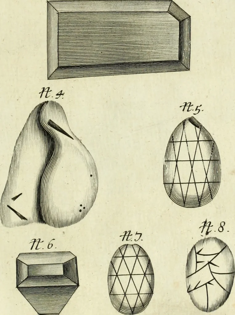 An illustration from Collections of travels through Turkey into Persia, and the East-Indies : Giving an account of the present state of those countries ..., 1684, leaf 460