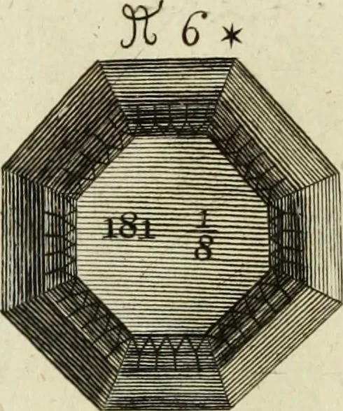 An illustration from Collections of travels through Turkey into Persia, and the East-Indies : Giving an account of the present state of those countries ..., 1684, leaf 463