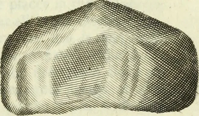 An illustration from Collections of travels through Turkey into Persia, and the East-Indies : Giving an account of the present state of those countries ..., 1684, leaf 470