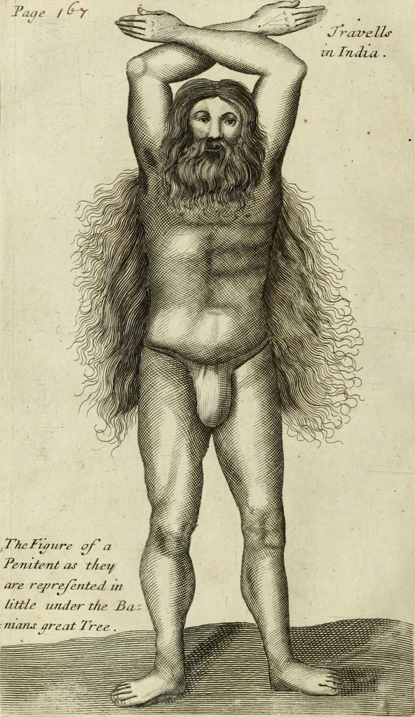 An illustration from Collections of travels through Turkey into Persia, and the East-Indies : Giving an account of the present state of those countries ..., 1684, leaf 491
