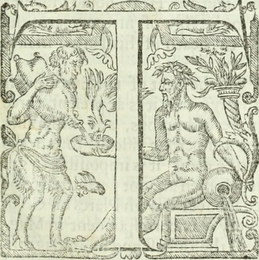 An illustration from Collections of travels through Turkey into Persia, and the East-Indies : Giving an account of the present state of those countries ..., 1684, leaf 704
