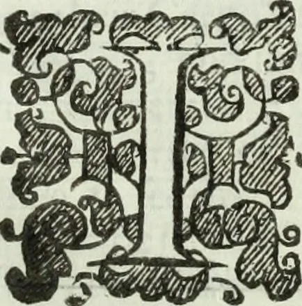 An illustration from Collections of travels through Turkey into Persia, and the East-Indies : Giving an account of the present state of those countries ..., 1684, leaf 729