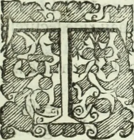 An illustration from Collections of travels through Turkey into Persia, and the East-Indies : Giving an account of the present state of those countries ..., 1684, leaf 754