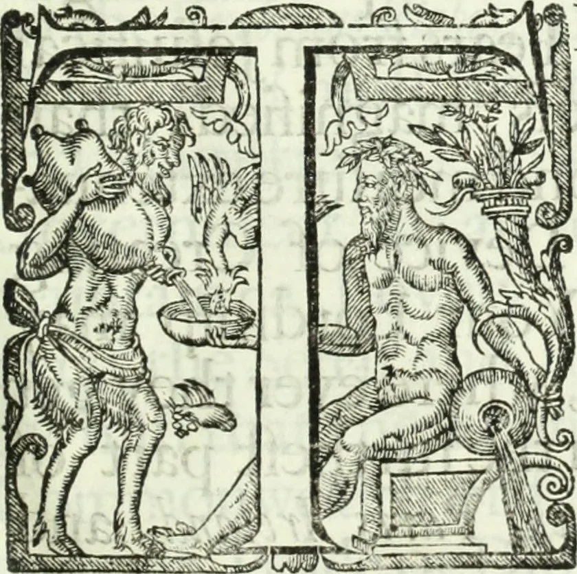 An illustration from Collections of travels through Turkey into Persia, and the East-Indies : Giving an account of the present state of those countries ..., 1684, leaf 772