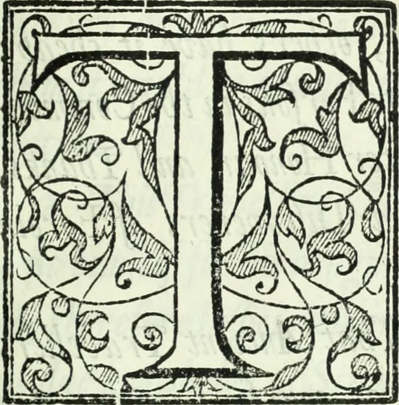 An illustration from Collections of travels through Turkey into Persia, and the East-Indies : Giving an account of the present state of those countries ..., 1684, leaf 776