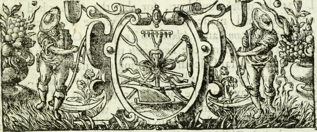 An illustration from Collections of travels through Turkey into Persia, and the East-Indies : Giving an account of the present state of those countries ..., 1684, leaf 790