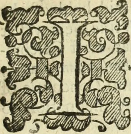 An illustration from Collections of travels through Turkey into Persia, and the East-Indies : Giving an account of the present state of those countries ..., 1684, leaf 8