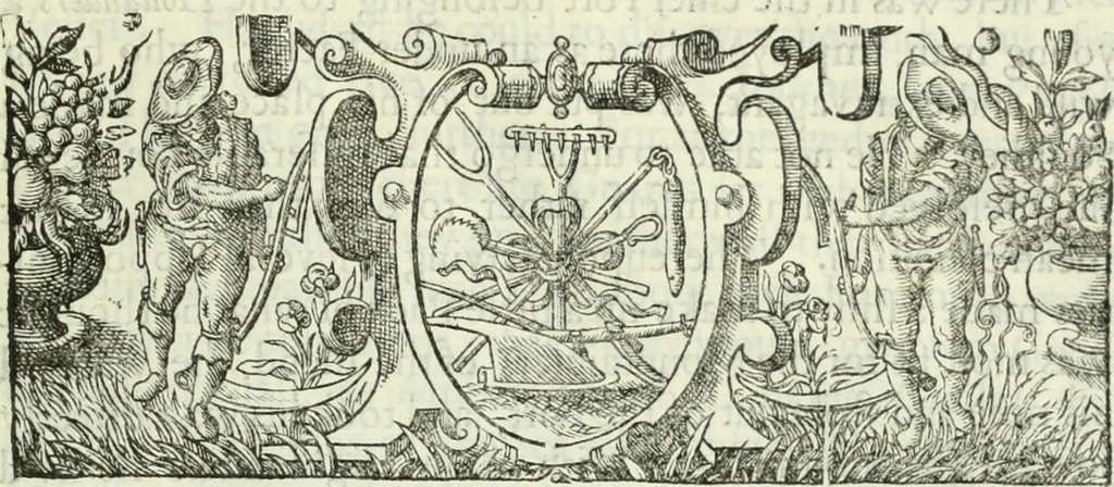 An illustration from Collections of travels through Turkey into Persia, and the East-Indies : Giving an account of the present state of those countries ..., 1684, leaf 870