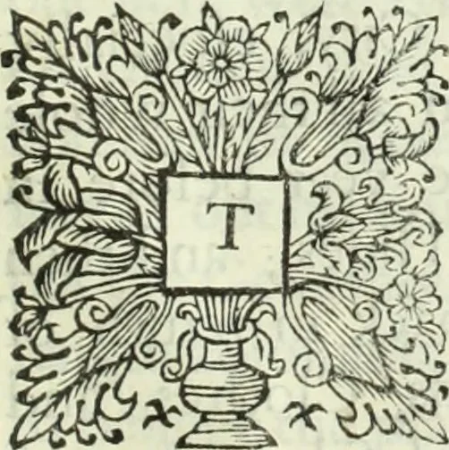 An illustration from Collections of travels through Turkey into Persia, and the East-Indies : Giving an account of the present state of those countries ..., 1684, leaf 870