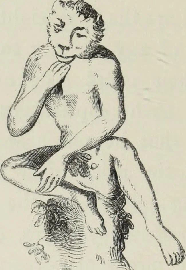 An illustration from Collections towards a history of pottery and porcelain, in the 15th, 16th, 17th, and 18th centuries : with a description of the manufacture, a glossary, and a list of monograms, 1850, leaf 187