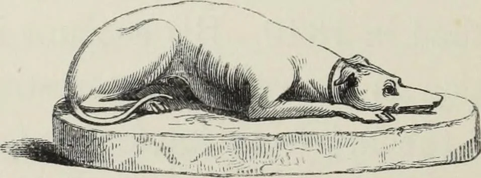 An illustration from Collections towards a history of pottery and porcelain, in the 15th, 16th, 17th, and 18th centuries : with a description of the manufacture, a glossary, and a list of monograms, 1850, leaf 187