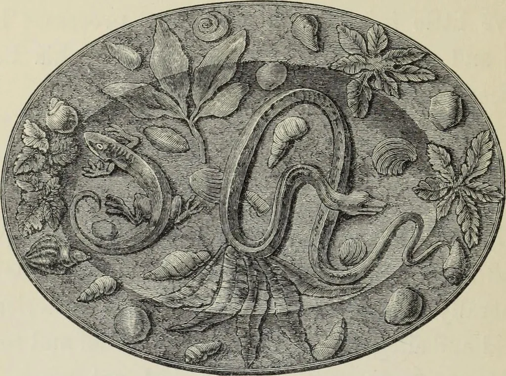 An illustration from Collections towards a history of pottery and porcelain, in the 15th, 16th, 17th, and 18th centuries : with a description of the manufacture, a glossary, and a list of monograms, 1850, leaf 75
