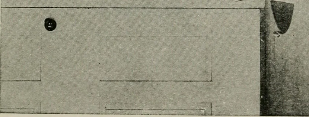 An illustration from Collector's luck; or, A repository of pleasant and profitable discourses descriptive of the household furniture and ornaments of olden time.., 1919, leaf 208