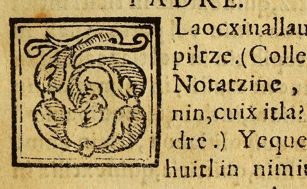An illustration from Colloquios de la paz, y tranquilidad christiana, en lengua mexicana, 1582, leaf 37