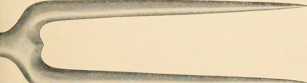 An illustration from The colonial book .., 1908, leaf 74