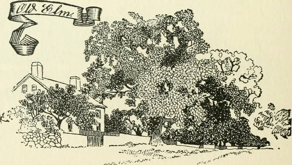 An illustration from The colonial book of the Towle Mfg. Co. Which is intended to delineate and describe some quaint and historic places in Newburyport and vicinity and show the origin and beauty of the colonial pattern of silverware, 1898, leaf 13