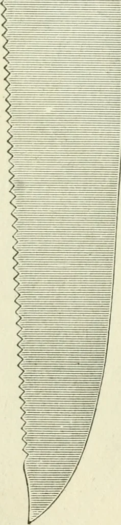 An illustration from The colonial book of the Towle Mfg. Co. Which is intended to delineate and describe some quaint and historic places in Newburyport and vicinity and show the origin and beauty of the colonial pattern of silverware, 1898, leaf 15