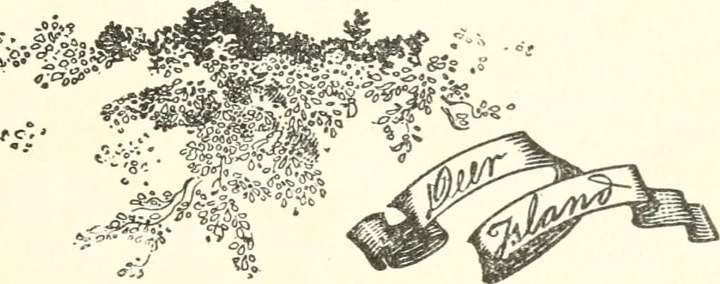 An illustration from The colonial book of the Towle Mfg. Co. Which is intended to delineate and describe some quaint and historic places in Newburyport and vicinity and show the origin and beauty of the colonial pattern of silverware, 1898, leaf 40