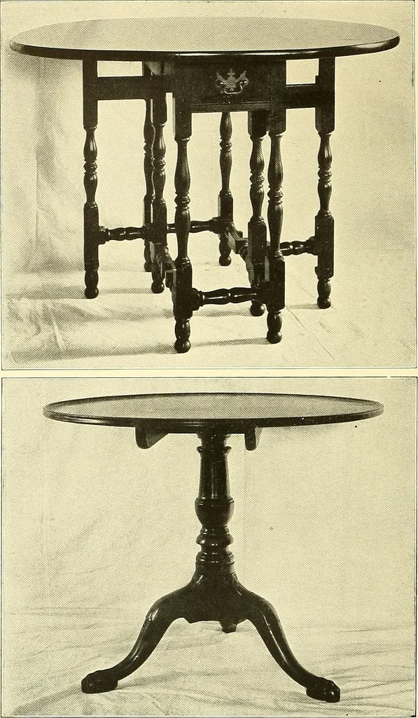 An illustration from Colonial homes and their furnishings, 1912, leaf 197