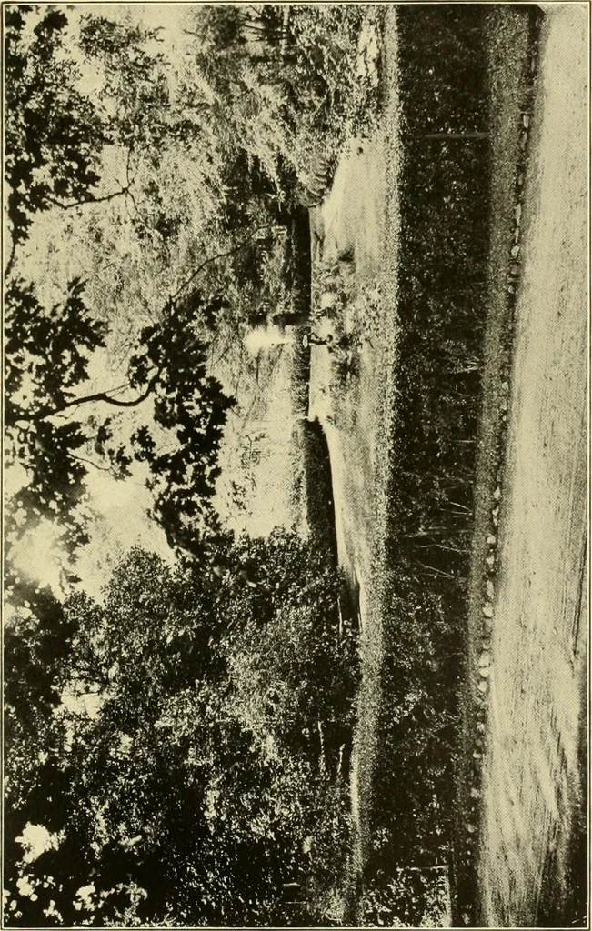 An illustration from Colonial homes and their furnishings, 1912, leaf 98