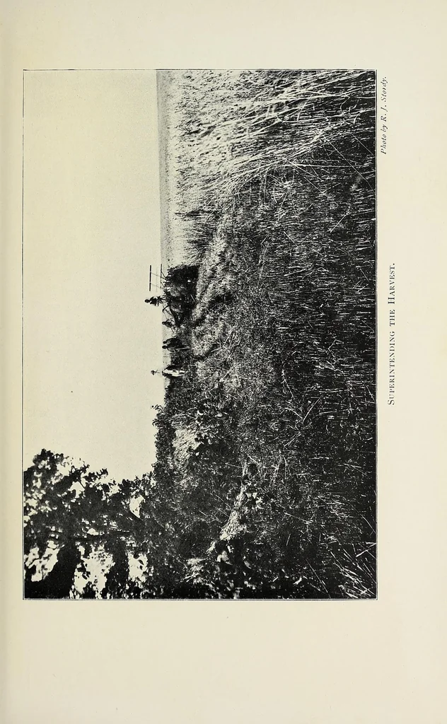 An illustration from A colony in the making, or, Sport and profit in British East Africa, 1912, leaf 115