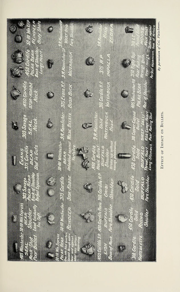 An illustration from A colony in the making, or, Sport and profit in British East Africa, 1912, leaf 295