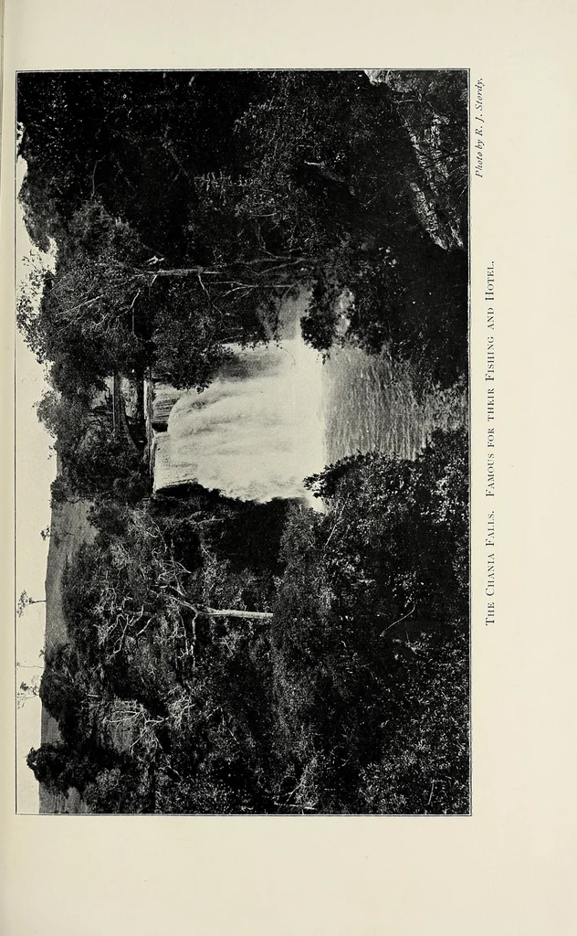 An illustration from A colony in the making, or, Sport and profit in British East Africa, 1912, leaf 399