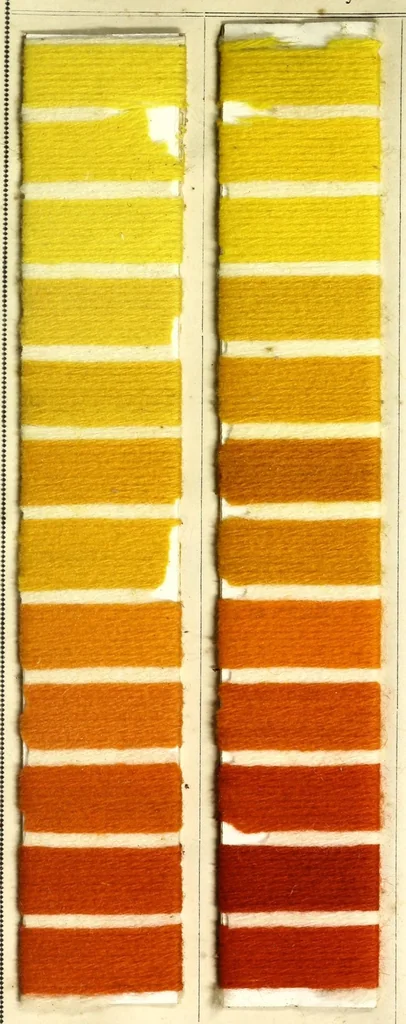 An illustration from Colorants acides et basiques sur filés de laine. I, 1890, leaf 11