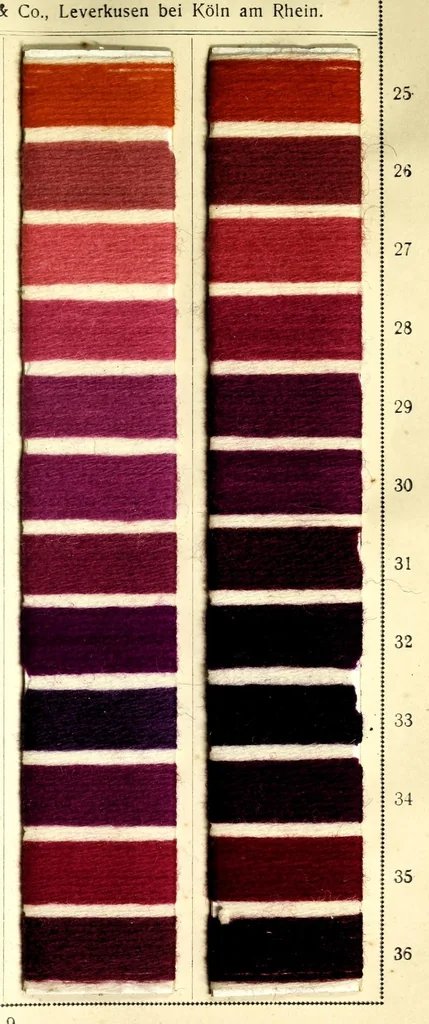 An illustration from Colorants acides et basiques sur filés de laine. I, 1890, leaf 13