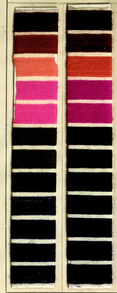 An illustration from Colorants acides et basiques sur filés de laine. I, 1890, leaf 19