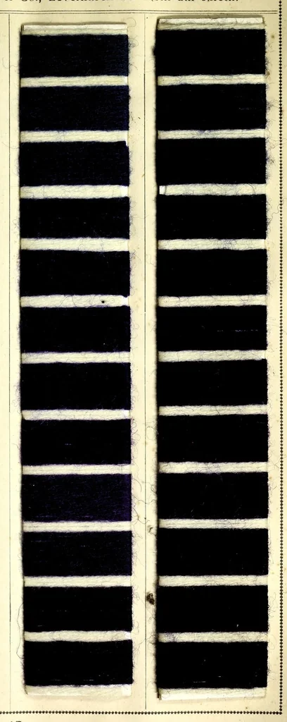 An illustration from Colorants acides et basiques sur filés de laine. I, 1890, leaf 21