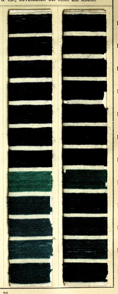 An illustration from Colorants acides et basiques sur filés de laine. I, 1890, leaf 29