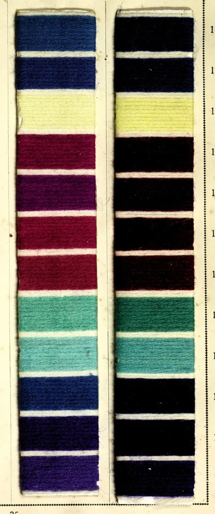 An illustration from Colorants acides et basiques sur filés de laine. I, 1890, leaf 39