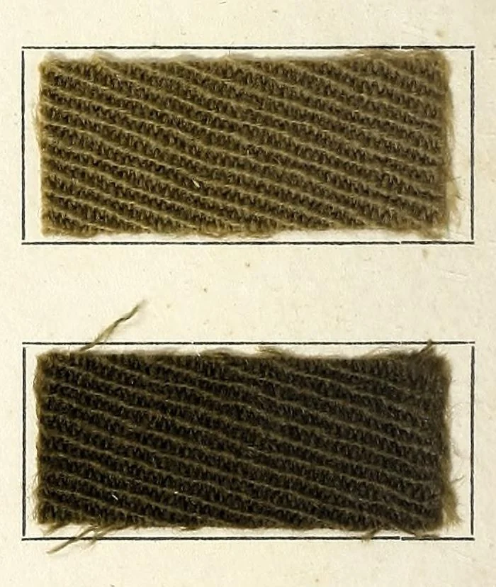 An illustration from Colorants d'unisson sur tissu de laine, 1920, leaf 6