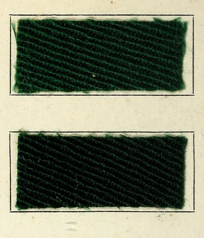 An illustration from Colorants d'unisson sur tissu de laine, 1920, leaf 6