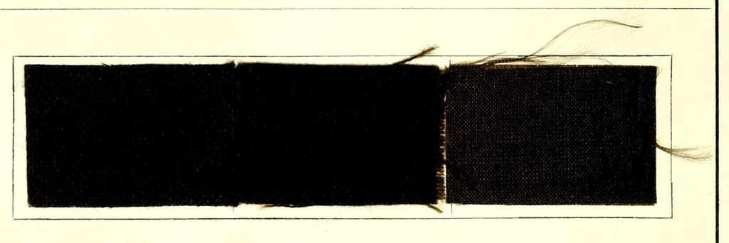 An illustration from Colorants pour la teinture des mi-laine, 1930, leaf 53