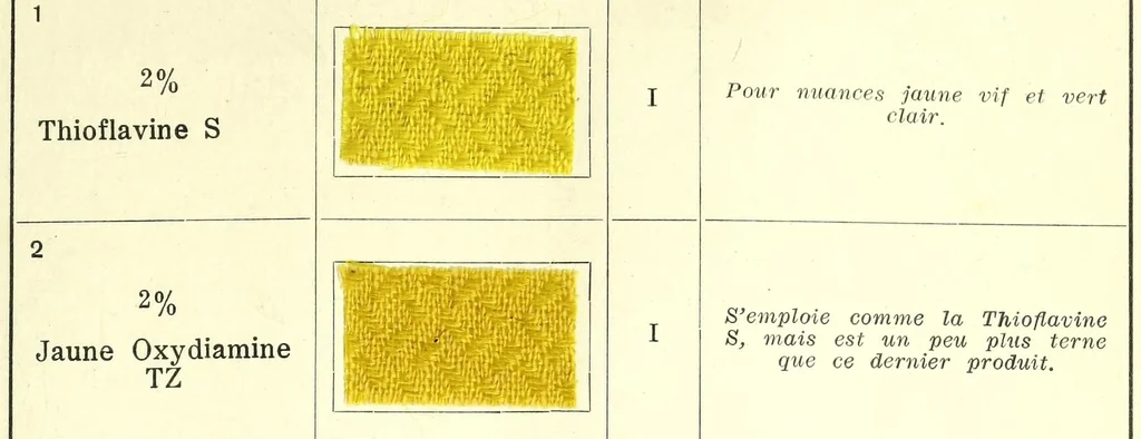 An illustration from Colorants pour la teinture des articles mi-laine, 1900, leaf 17