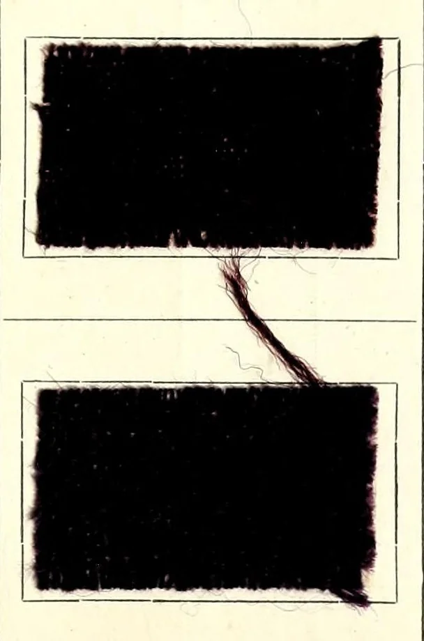 An illustration from Colorants pour la teinture des articles mi-laine, 1900, leaf 25