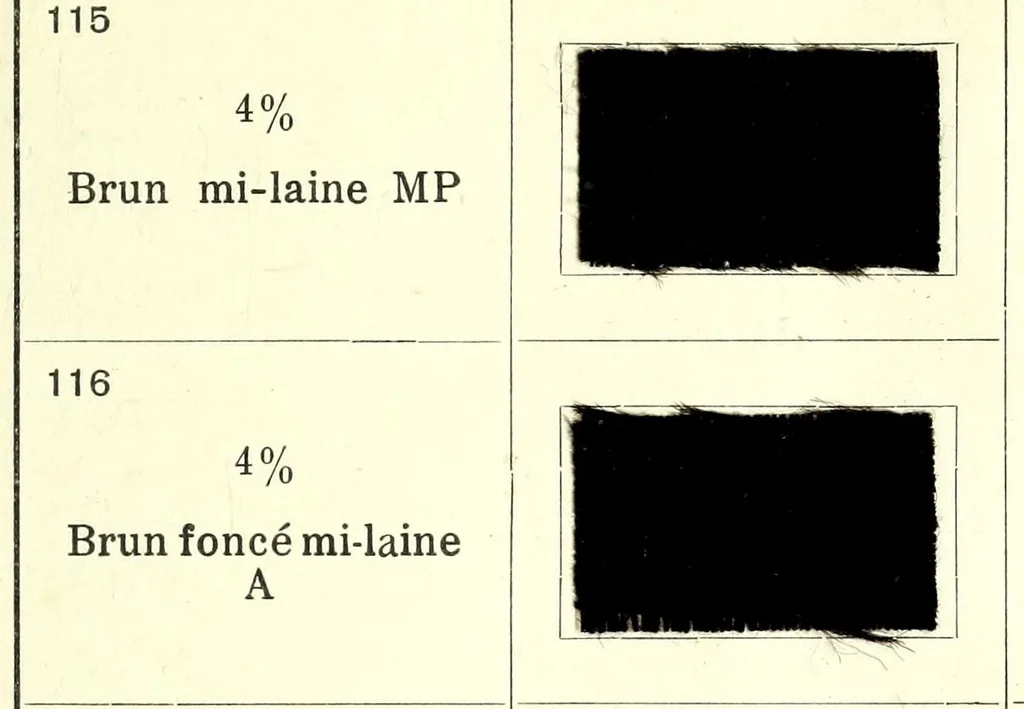 An illustration from Colorants pour la teinture des articles mi-laine, 1900, leaf 33