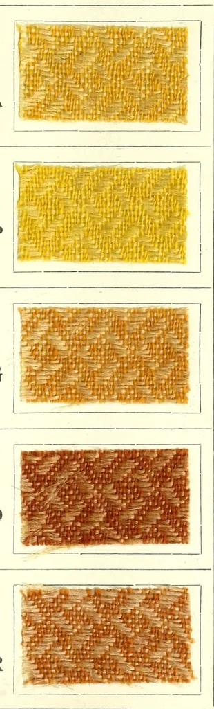 An illustration from Colorants pour la teinture des articles mi-laine, 1900, leaf 43