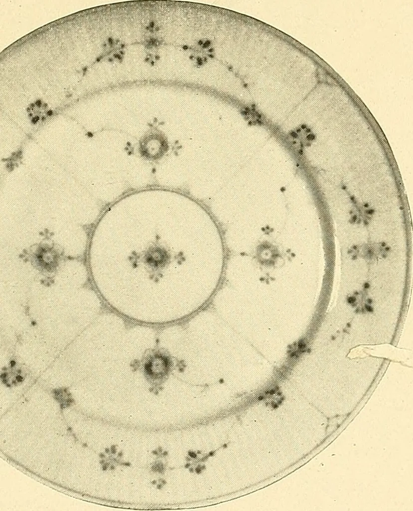 An illustration from The color blue in pottery and porcelain, 1902, leaf 10