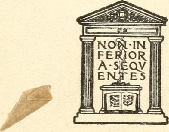 An illustration from Color in everyday life; a manual for lay students, artisaus and artists; the principles of color combination and color arrangement, and their applications in dress, home, business, the theatre and community play, 1918, leaf 12