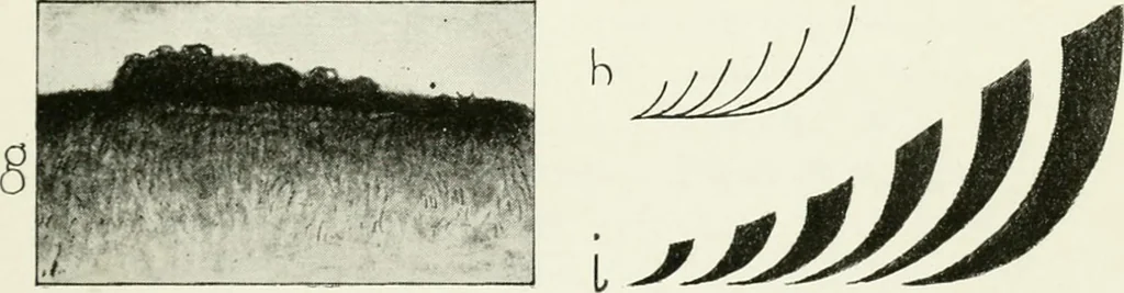 An illustration from Color in everyday life; a manual for lay students, artisaus and artists; the principles of color combination and color arrangement, and their applications in dress, home, business, the theatre and community play, 1918, leaf 102