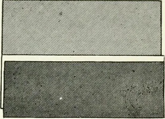 An illustration from Color in everyday life; a manual for lay students, artisaus and artists; the principles of color combination and color arrangement, and their applications in dress, home, business, the theatre and community play, 1918, leaf 64