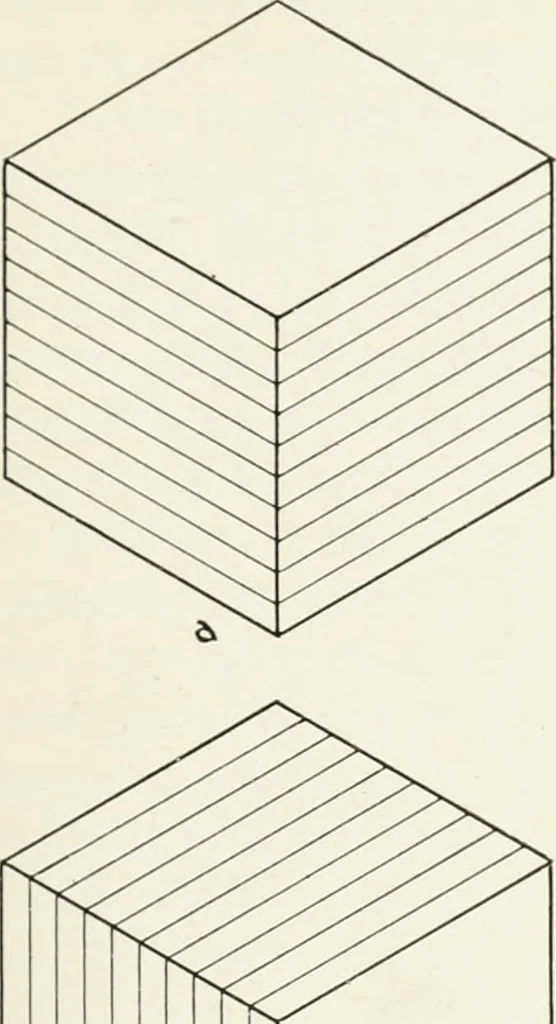 An illustration from Color in everyday life; a manual for lay students, artisaus and artists; the principles of color combination and color arrangement, and their applications in dress, home, business, the theatre and community play, 1918, leaf 68