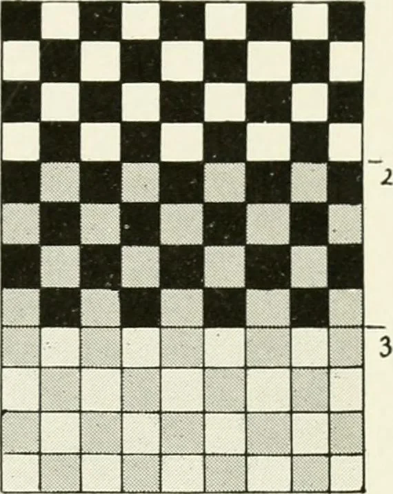 An illustration from Color in everyday life; a manual for lay students, artisaus and artists; the principles of color combination and color arrangement, and their applications in dress, home, business, the theatre and community play, 1918, leaf 98