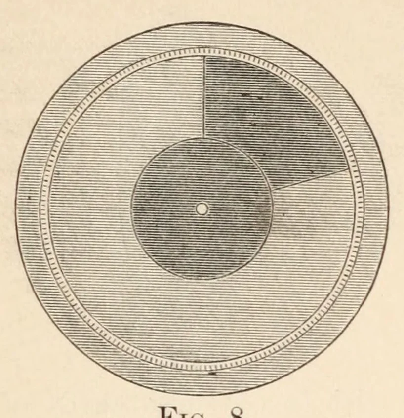 An illustration from Color in the school-room : a manual for teachers, 1890, leaf 64