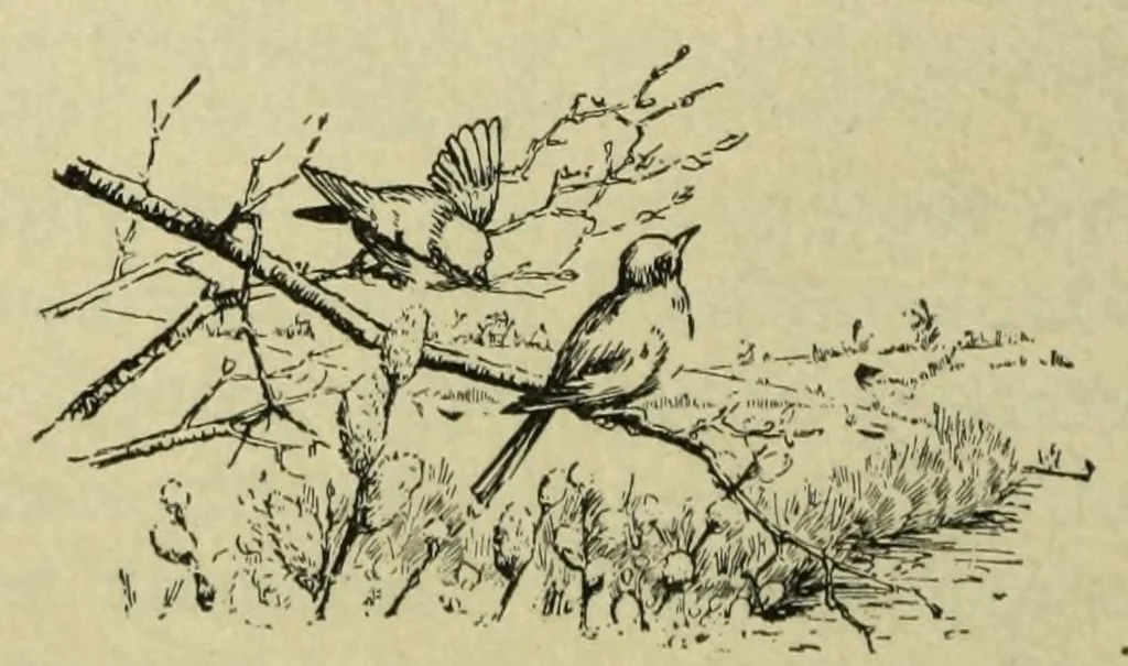 An illustration from Color instruction : suggestions for a course of instruction in color for public schools, 1893, leaf 156