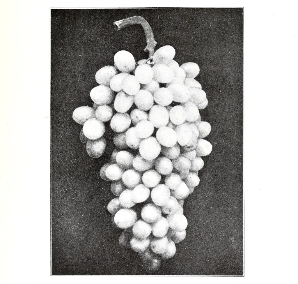 An illustration from Color and its application to printing, 1911, leaf 129
